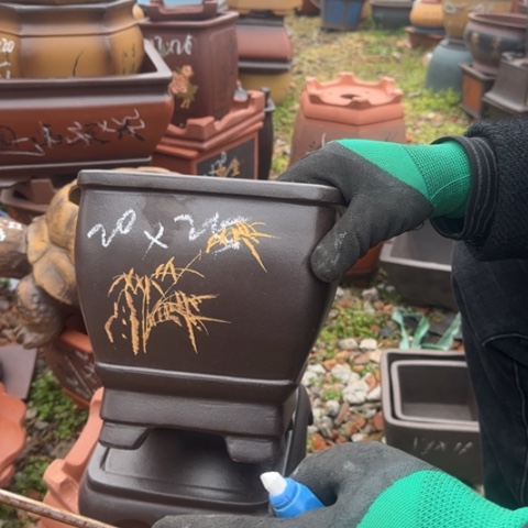 紫砂花盆紫砂花盆盆景盆栽