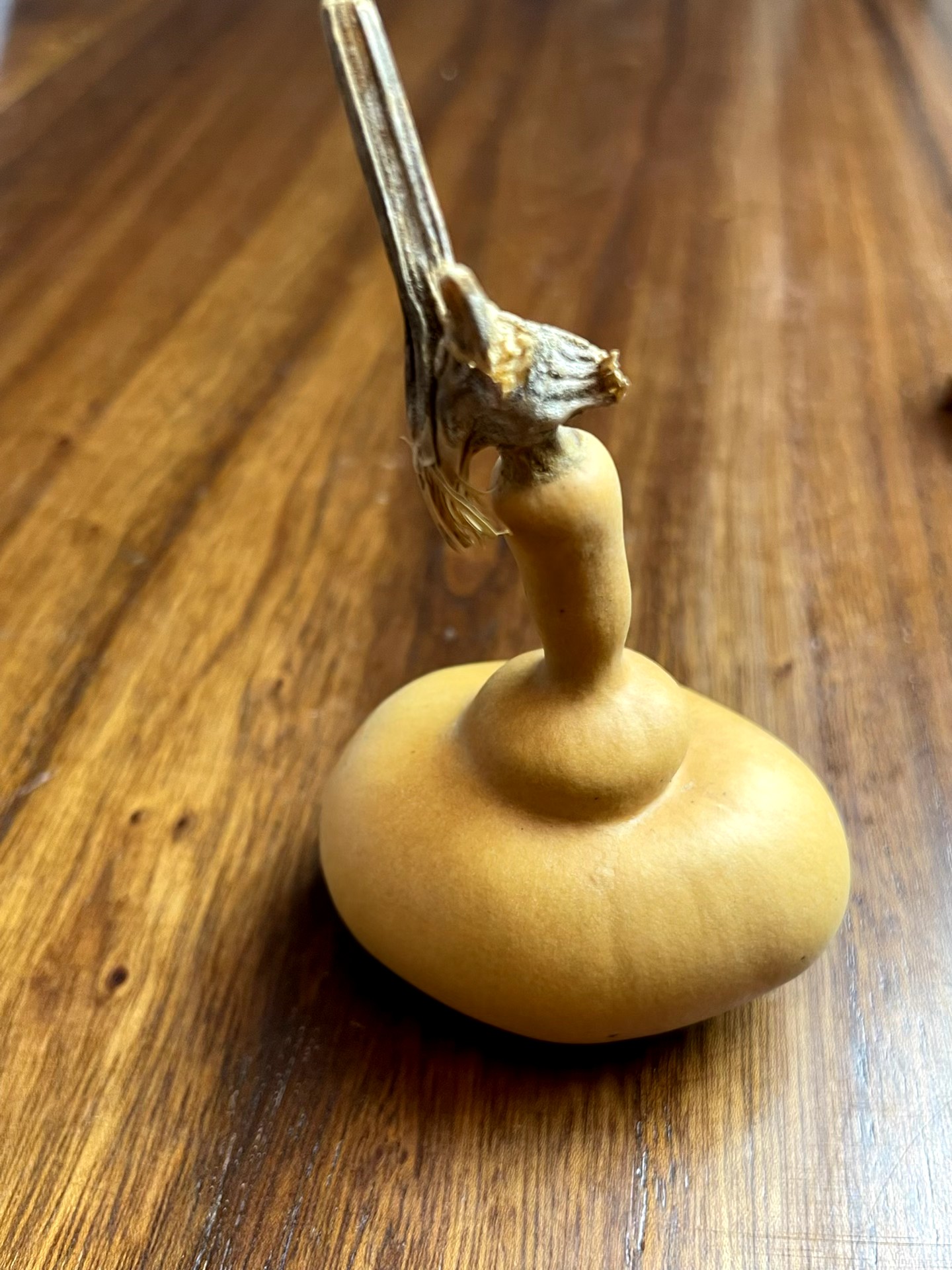 钱袋 小葫芦 手捻小葫芦 手把件【龙头不保】