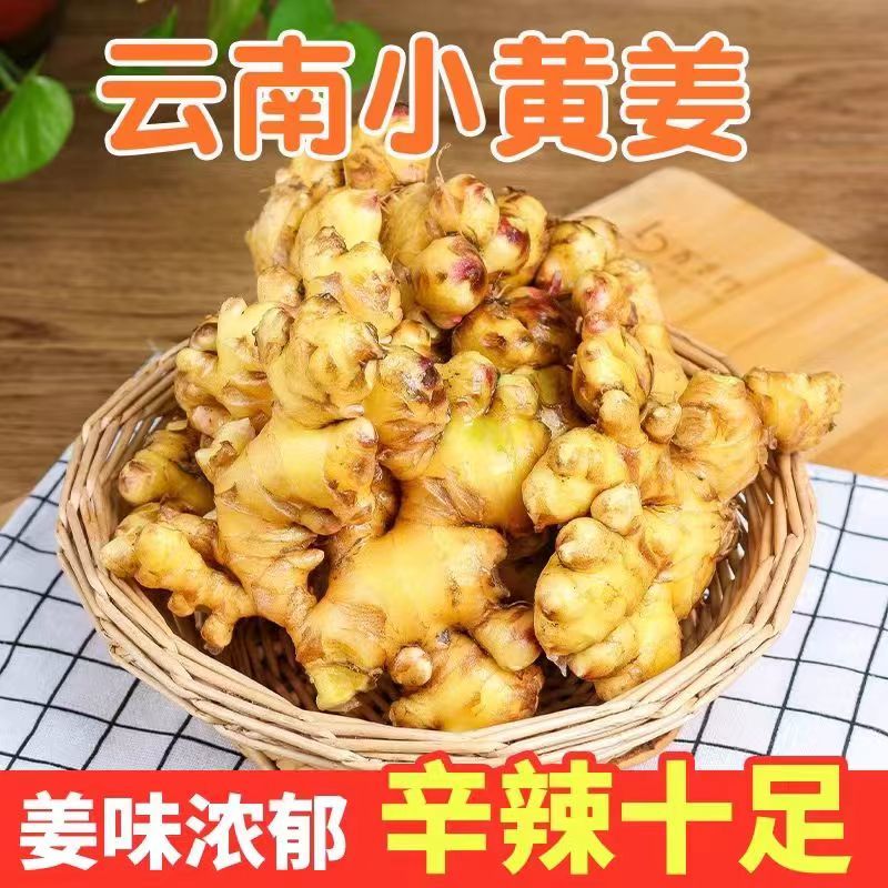 【农民种植】云南正宗小黄姜农家自种老姜原生态高海拔整箱便宜批发