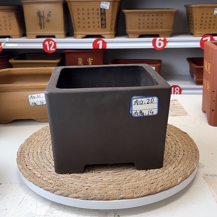 紫砂花盆蛇年大吉