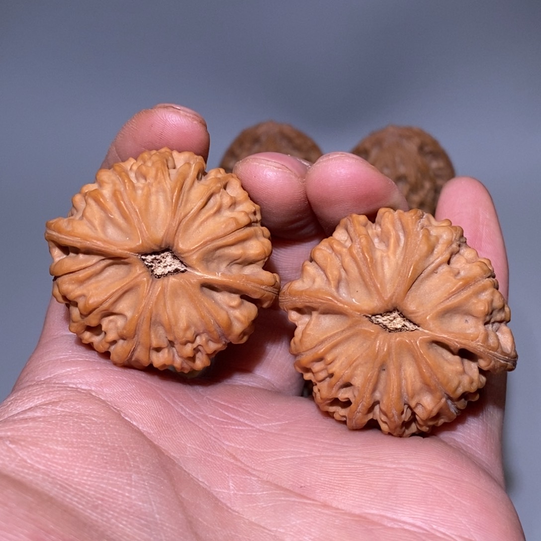 43尺全品无修 白茬 天地狮子头