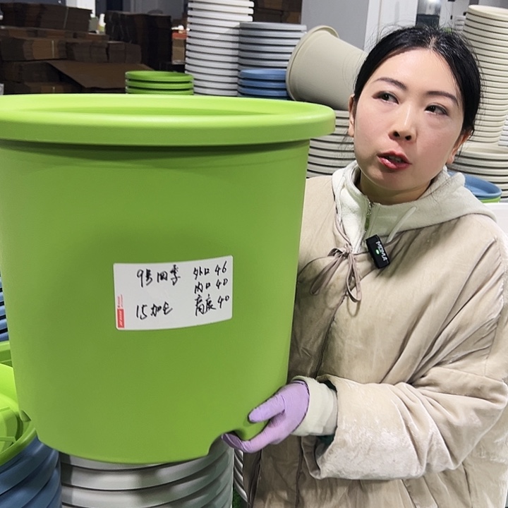 特价9号四季口46高40果绿4只无托