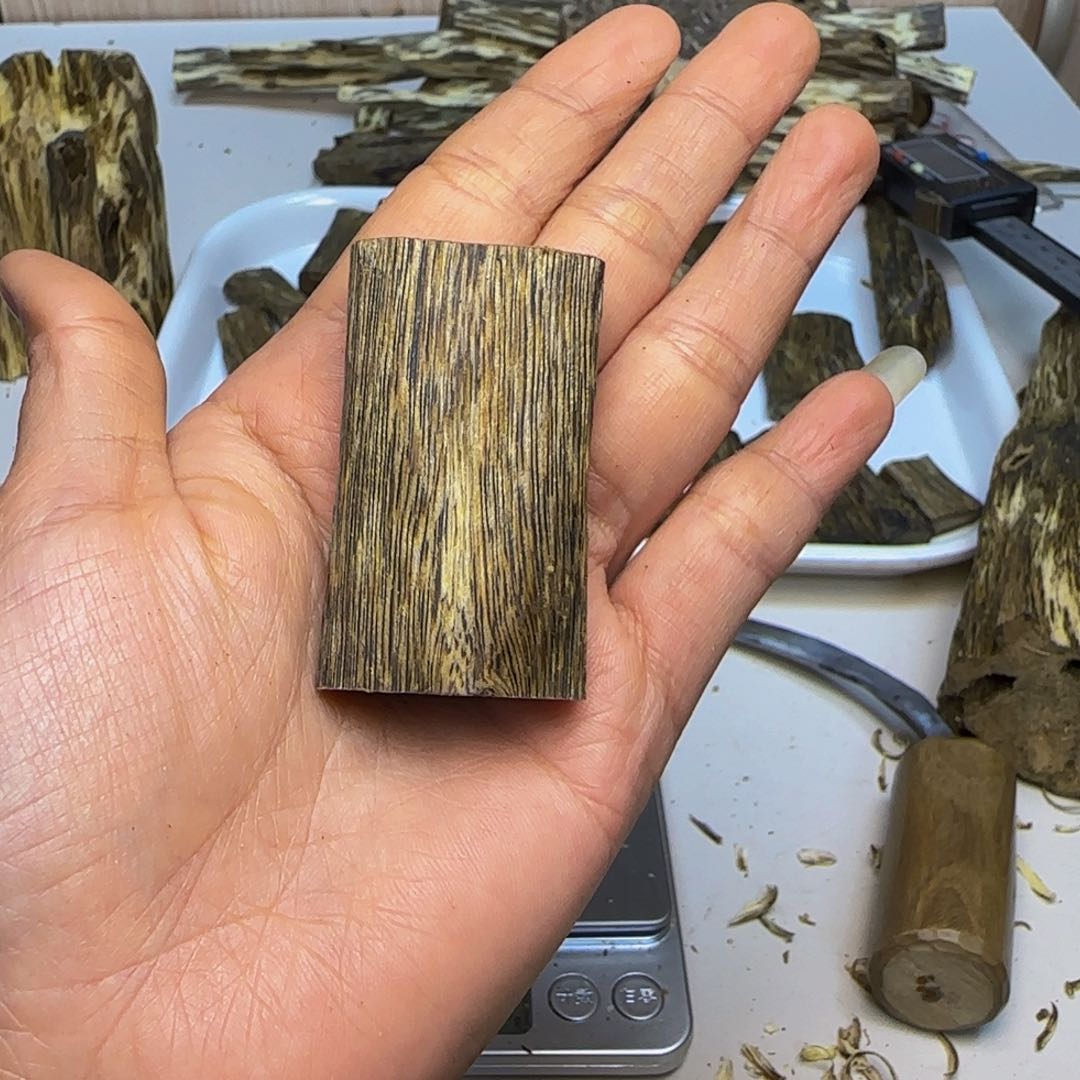 【闪购商品】沉香沉香碎屑钢****室绿棋楠金莎叶品种