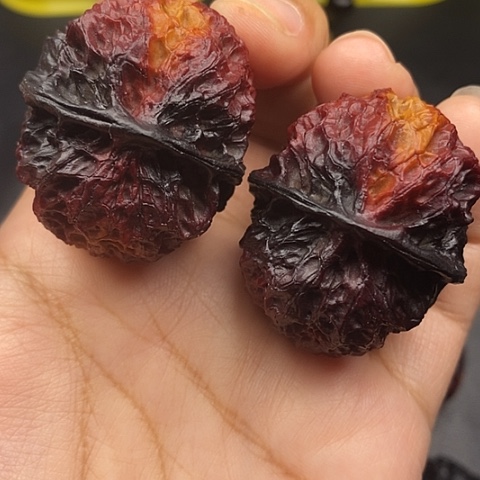 文玩核桃把件42尺珊瑚绣球