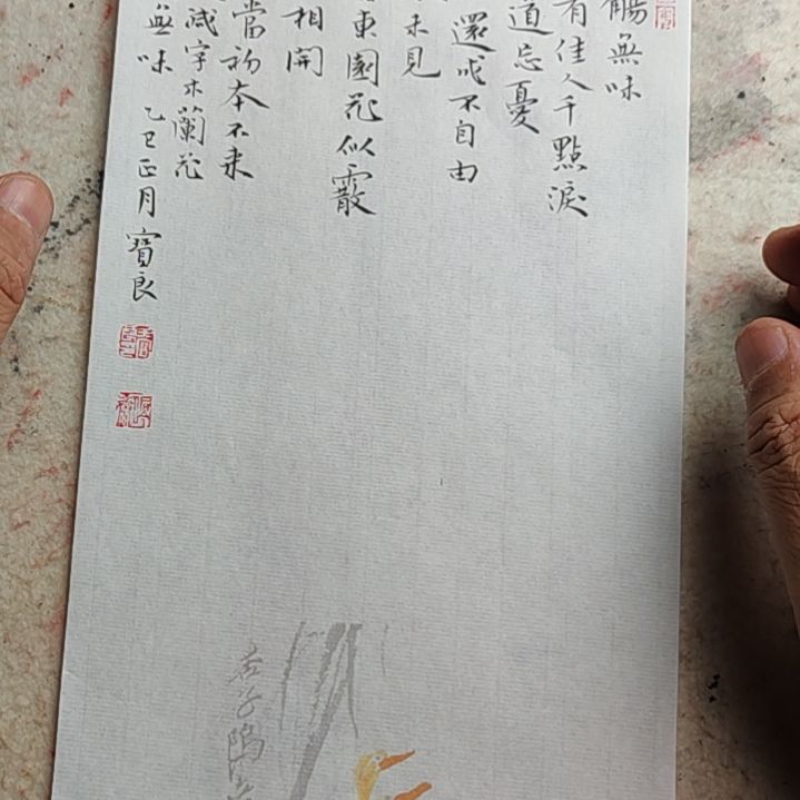 书法东坡词小品小楷17*34