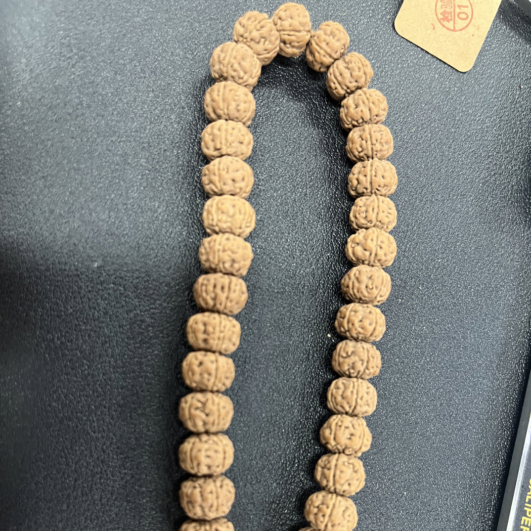 金刚菩提树王尺寸1.0