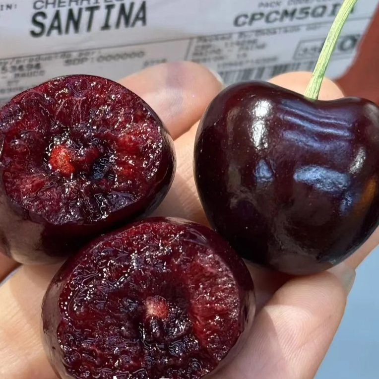 海运智利车厘子3JD  一箱 5斤装智利