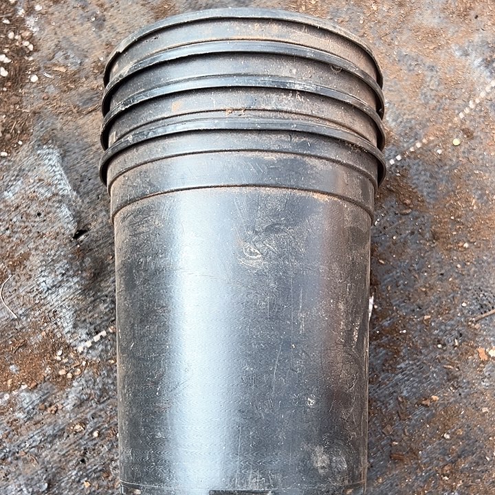 塑料口径15.5 高度17厘米 一组15个 加仑