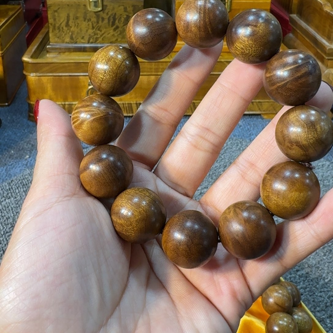 金丝楠金丝楠福利2.0