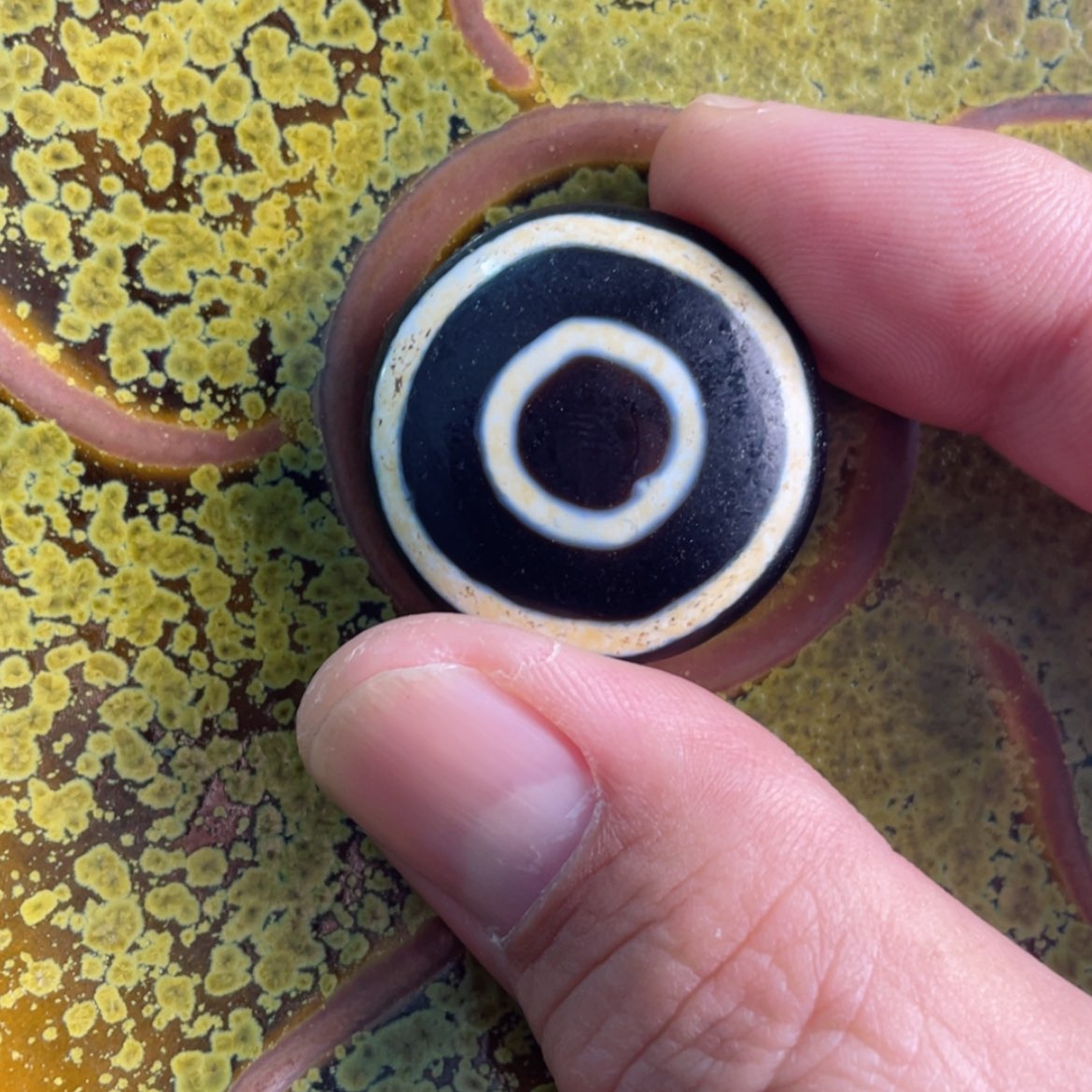 【闪购商品】杯。。。。。好的我知道了我知道了