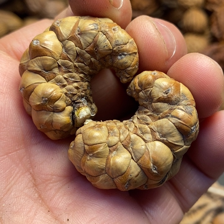 吊坠桃核东北特产32