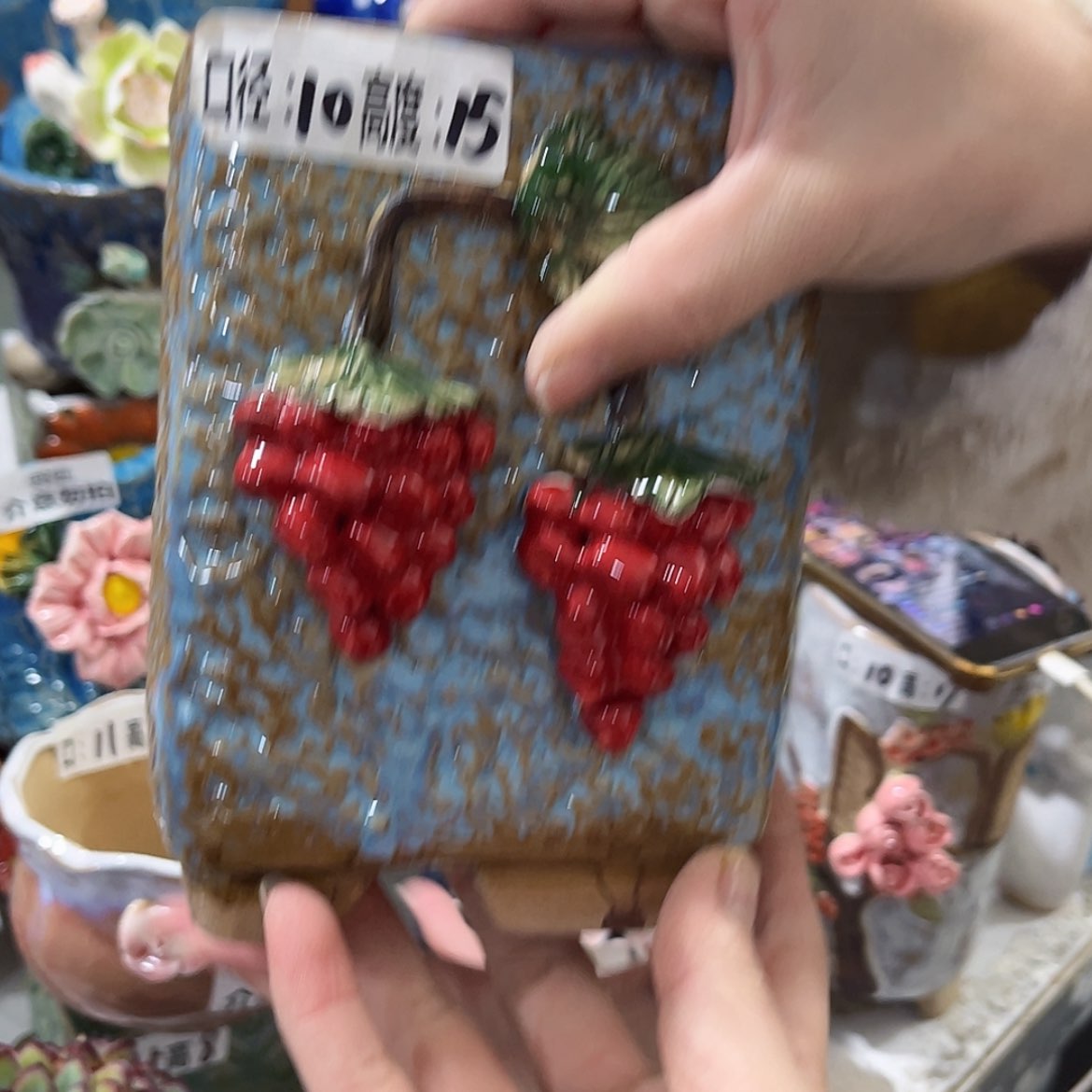 【闪购商品】红陶福利