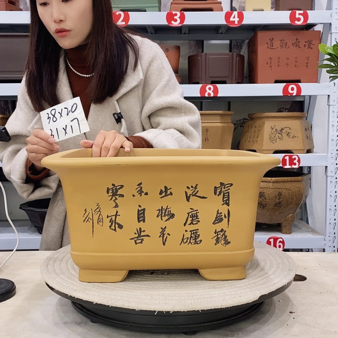 紫砂花盆紫砂花盆