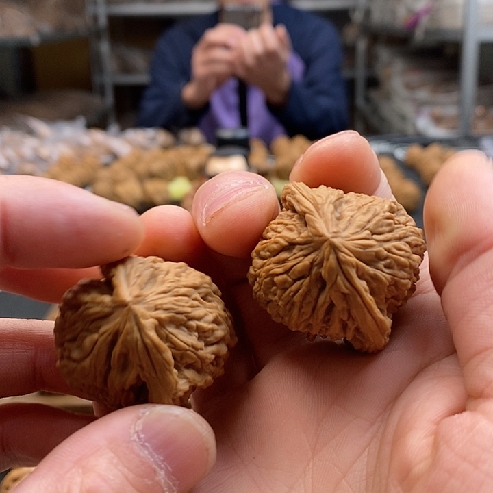 大叶紫檀（黑酸枝木类）天残脚