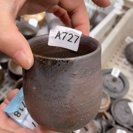 福利福利好福利来了