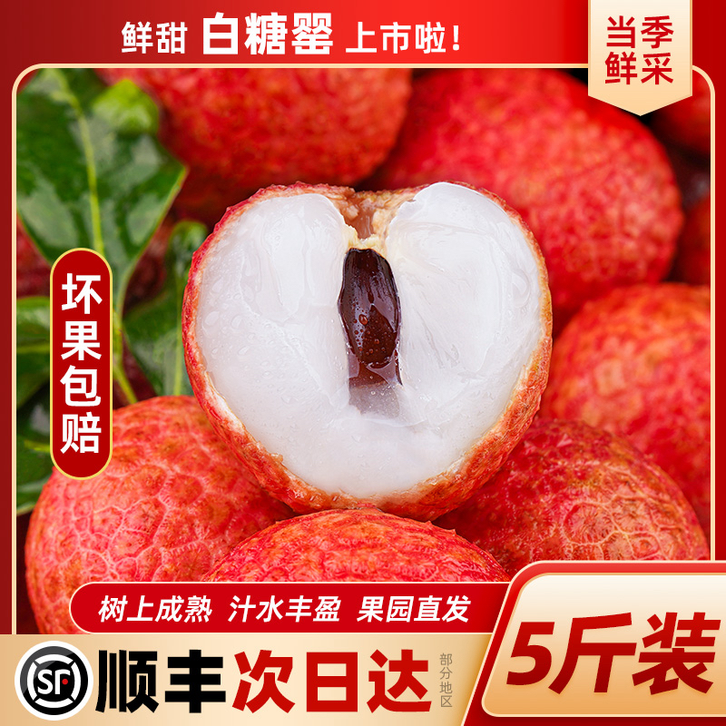 【5斤装老树果】新鲜现摘高州白糖罂荔枝不泡冰水顺丰次日达