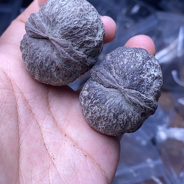 吊坠文玩核桃   167