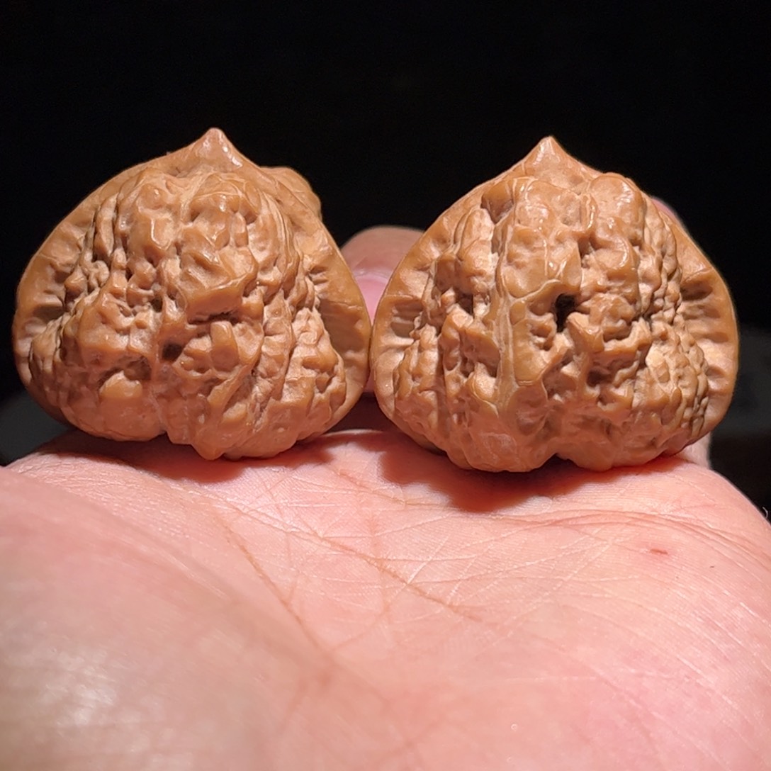 原生三角蛙精品尺寸40