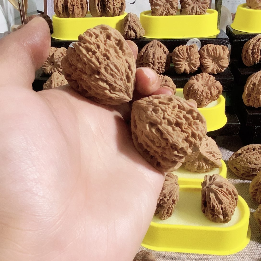 银S925今天是不是又要