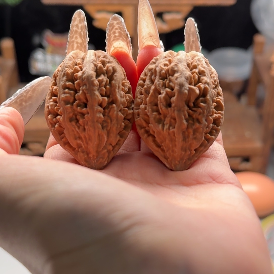 文玩核桃把件关东木子楸百核2