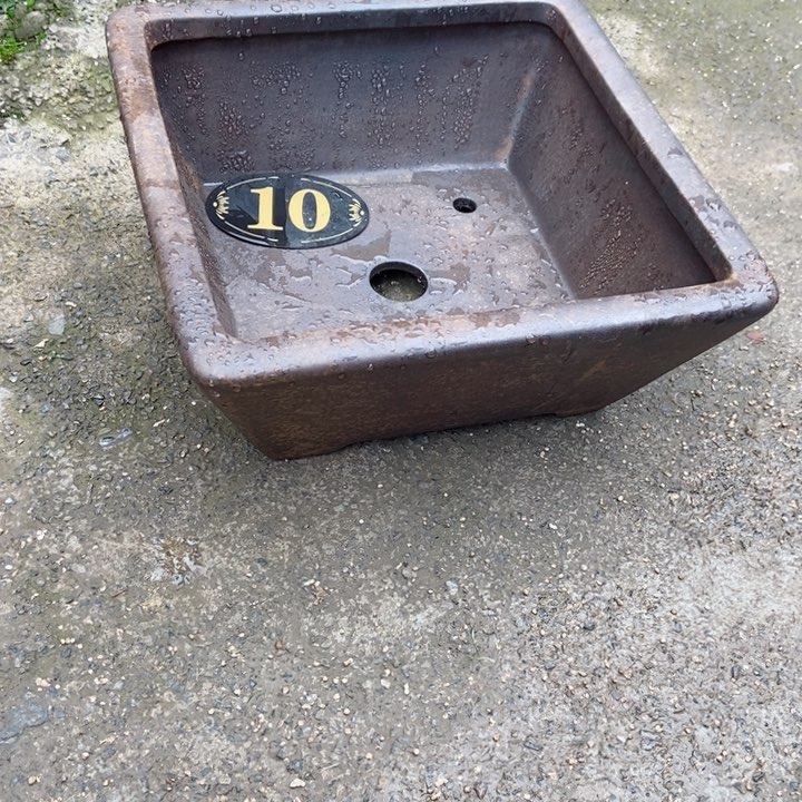 红陶杨冬益紫砂花盆