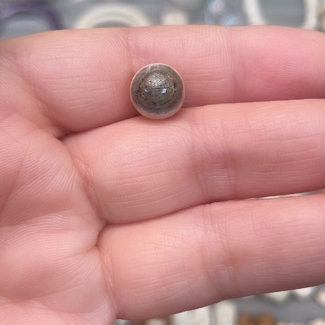 猛犸象牙手串/手链/手镯芝麻糊圆珠