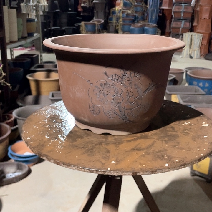 30平角金钟花盆花盆