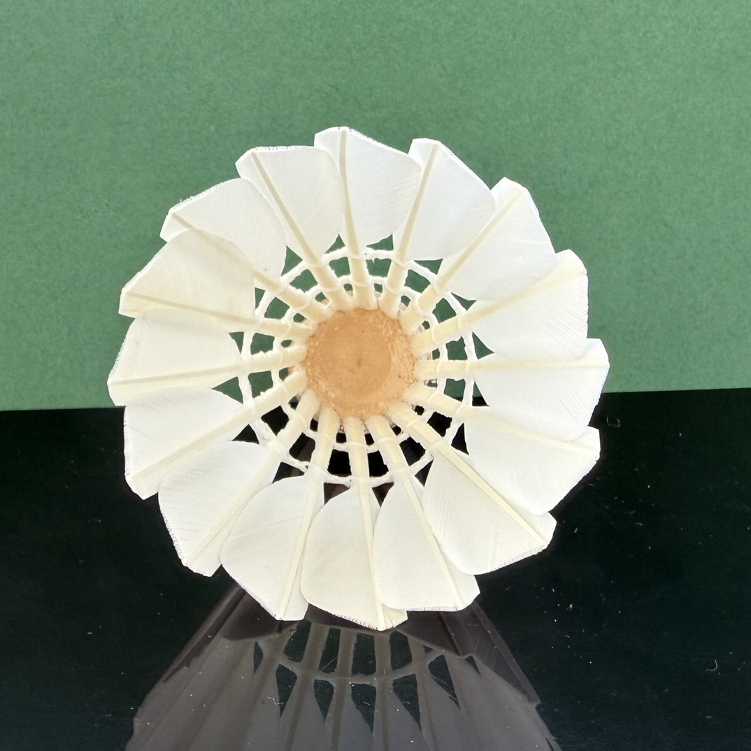 甄选鹚鸪鸭一级毛片亚七对标款训练比赛飞行稳定耐打羽毛球