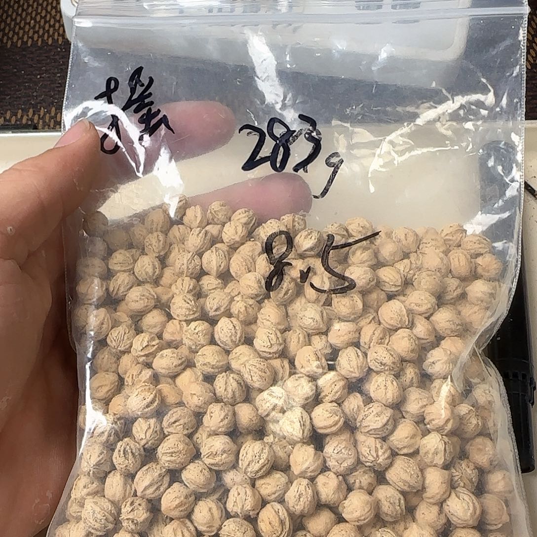 摇***蓝柏香籽/百香籽吊坠