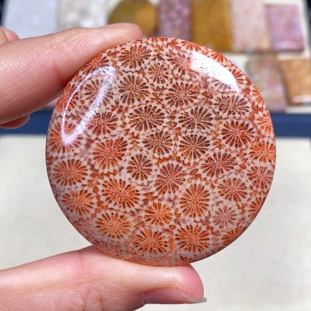 硅化玉未镶嵌吊坠