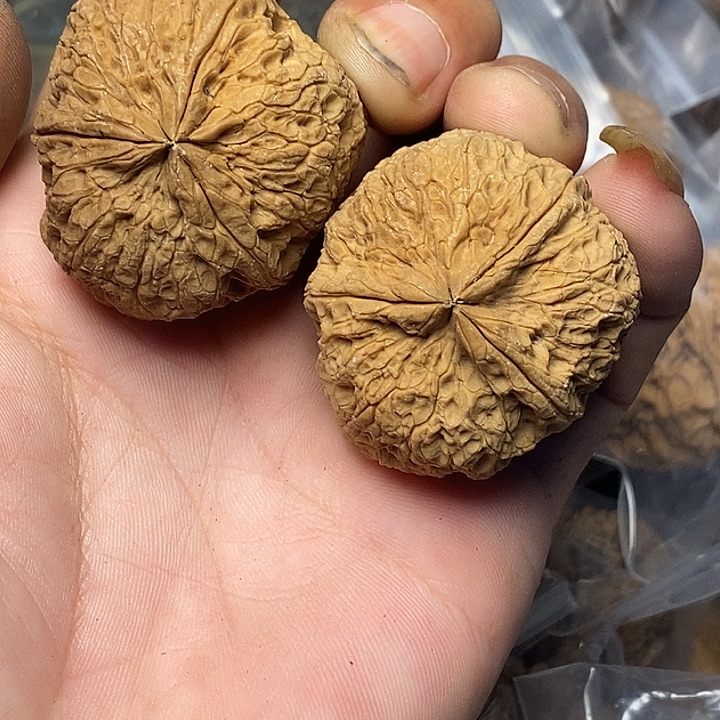 文玩核桃把件云南铁核桃49号40mm