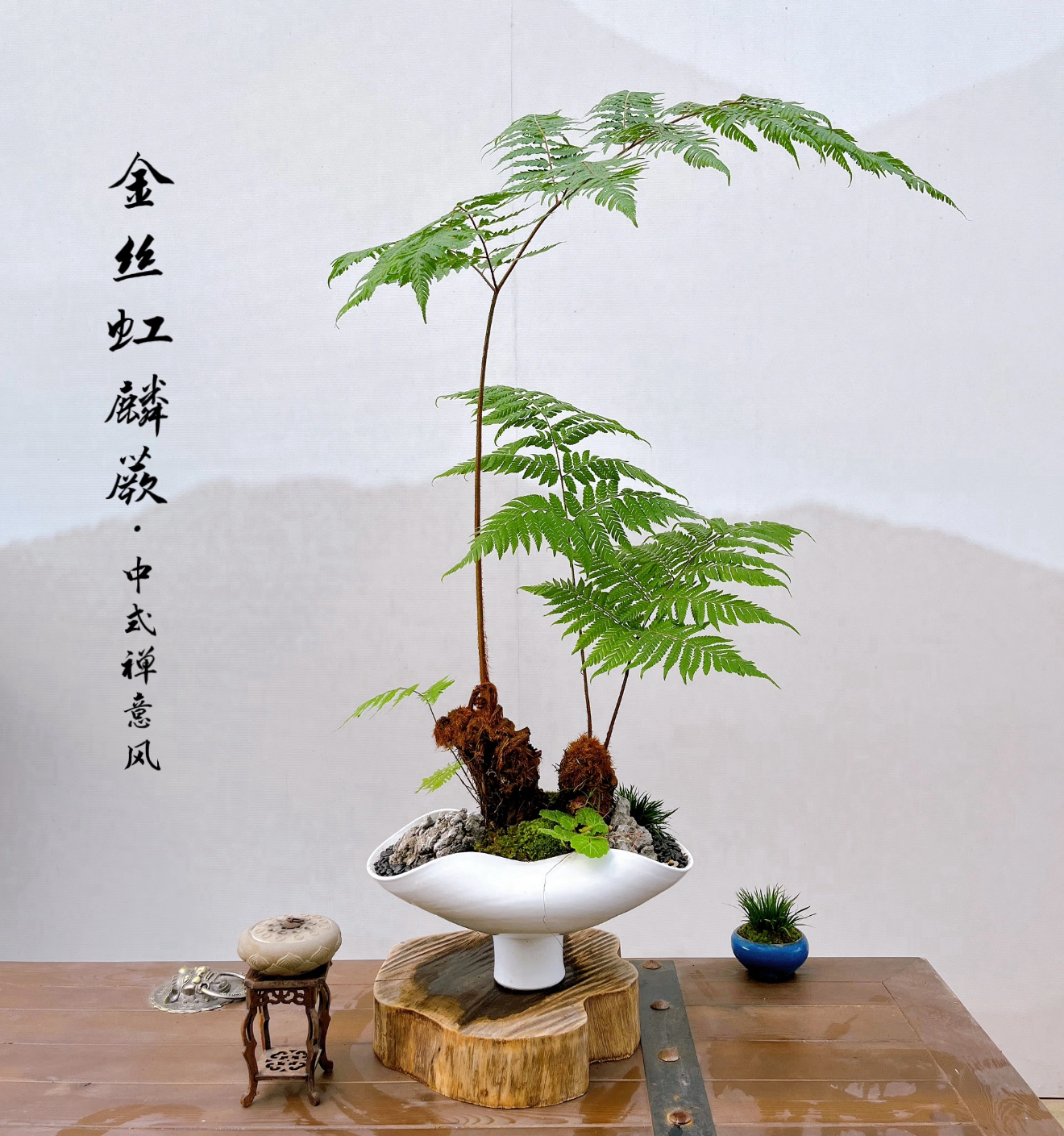 室内水培易活新房子乔迁之喜蕨类水培客厅绿植大盆栽虹鳞蕨好养