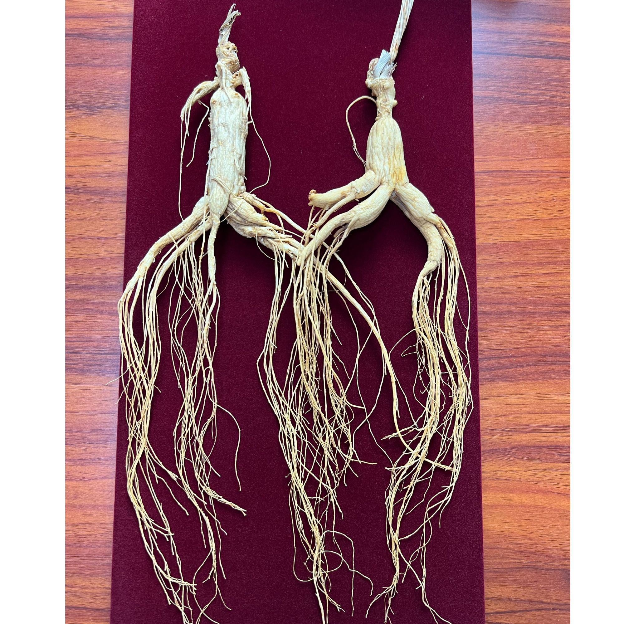 长白山林下参高档礼盒装滋补养生礼品