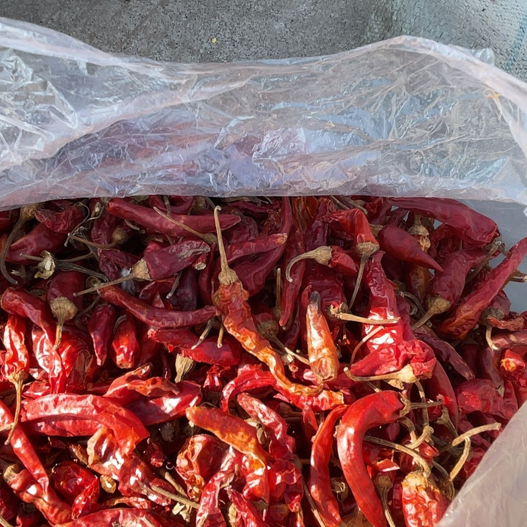中国大陆干红椒1.5斤本地