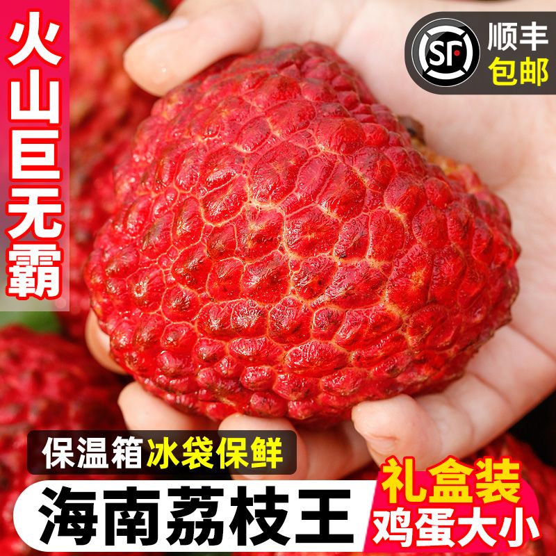 【DM专属】海南当季新鲜水果火山口荔枝王顺丰包邮送货上门荔枝同城送