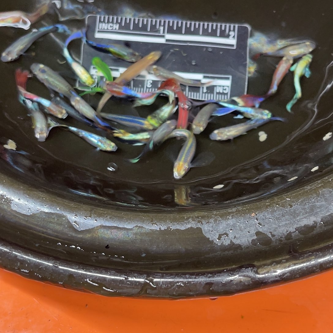 海水6号哈哈哈哈哈哈
