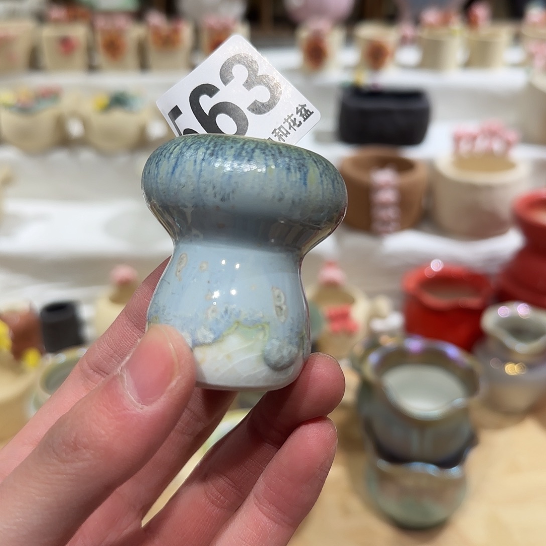 563 口2 默认微瑕花盆 