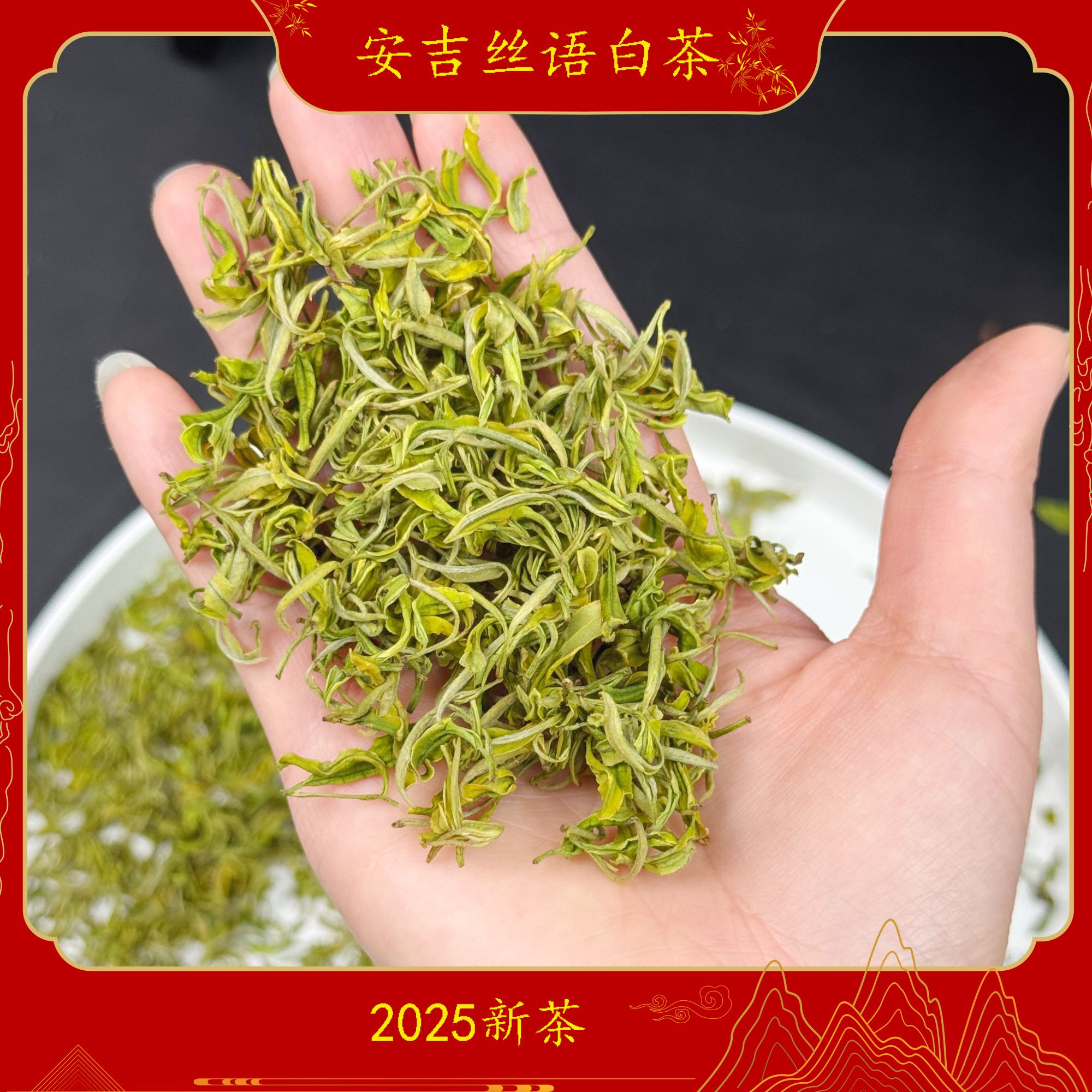 2025丝语手工熊猫奶白黄金芽奶香味头春头采鲜爽甘醇手工白茶