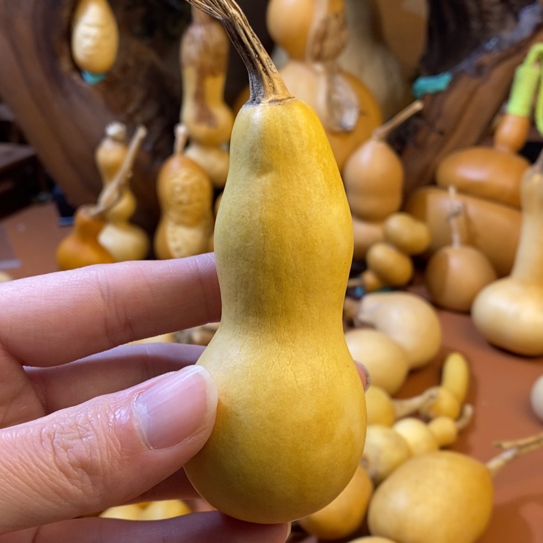 海***天教练教练咯教练经理