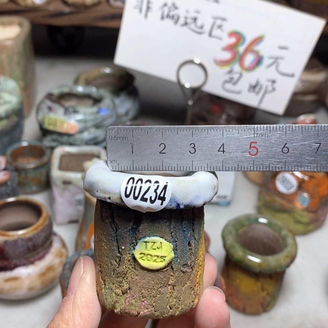 花盆拍3送一个小礼物