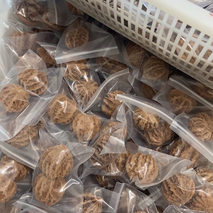 吊坠文玩核桃野龙（两单起拍）