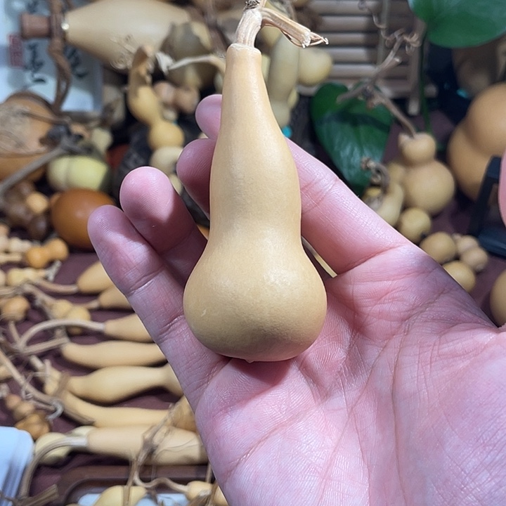 ****山，，，，，，，，，，本长，，，，