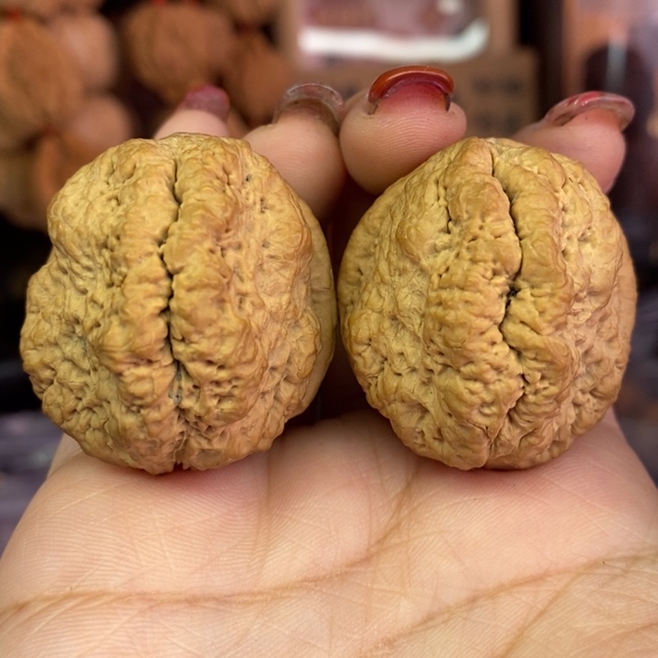 亮***嘡文玩核桃吊坠20临沧古蝉王