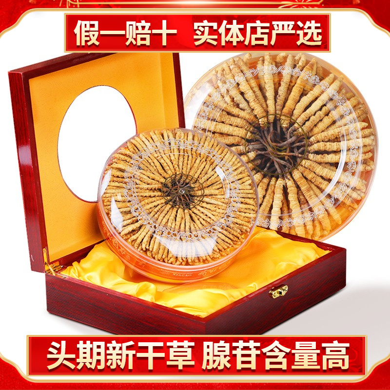 色季拉冬虫夏草 精选虫草4根/克10克40根礼盒送礼滋补