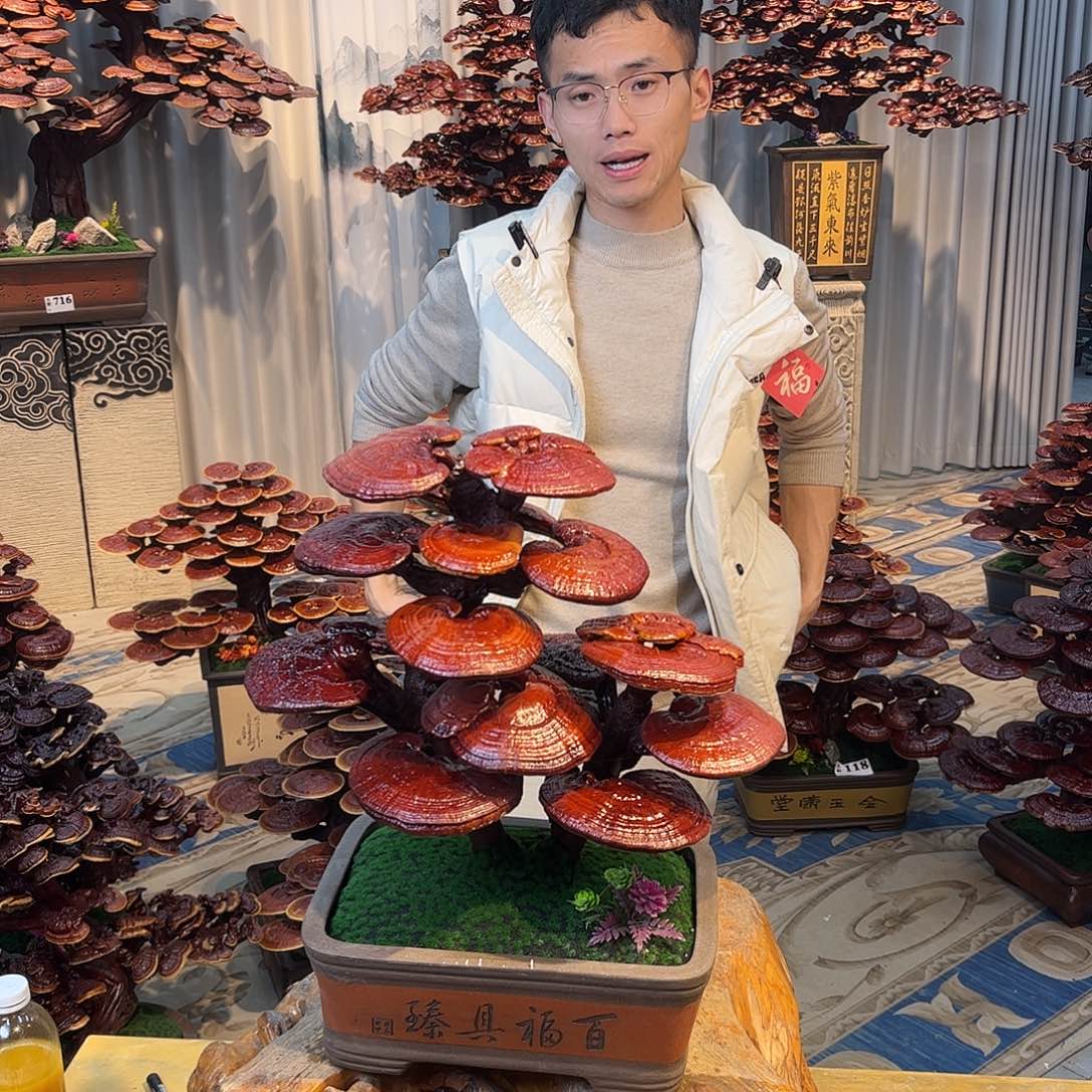 无花朵8888888888888