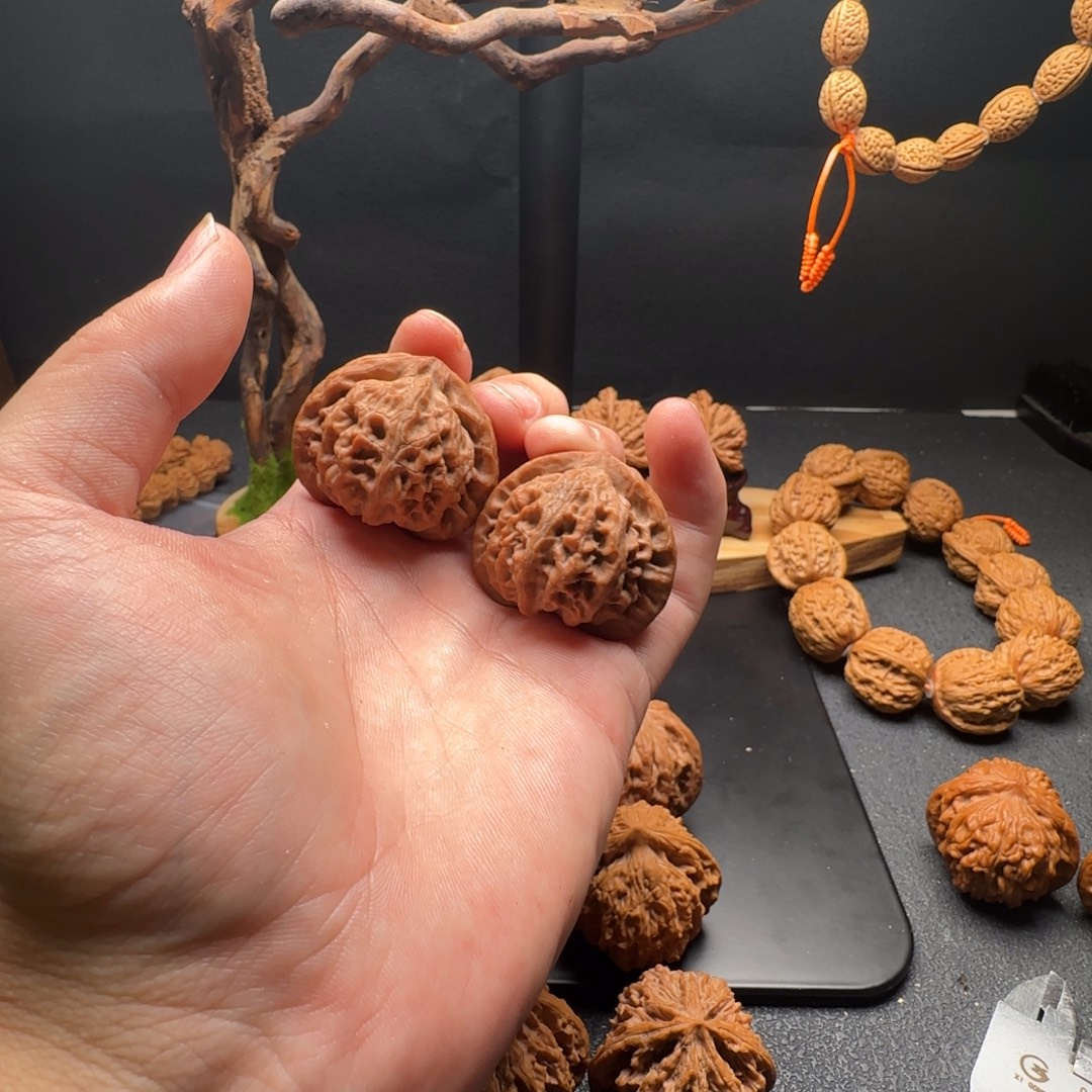 墨***菊核桃全品无修宫灯