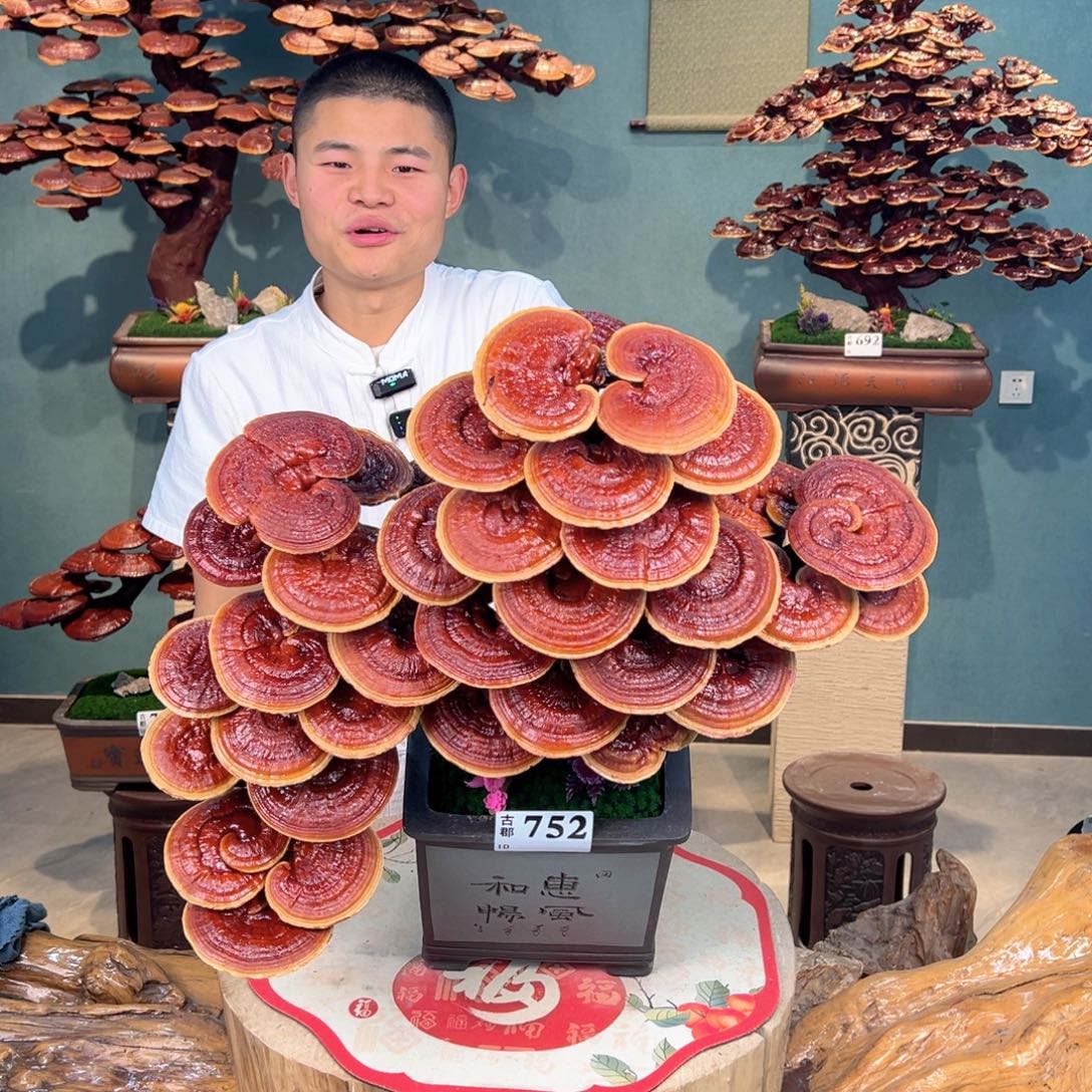 无花朵88888888888