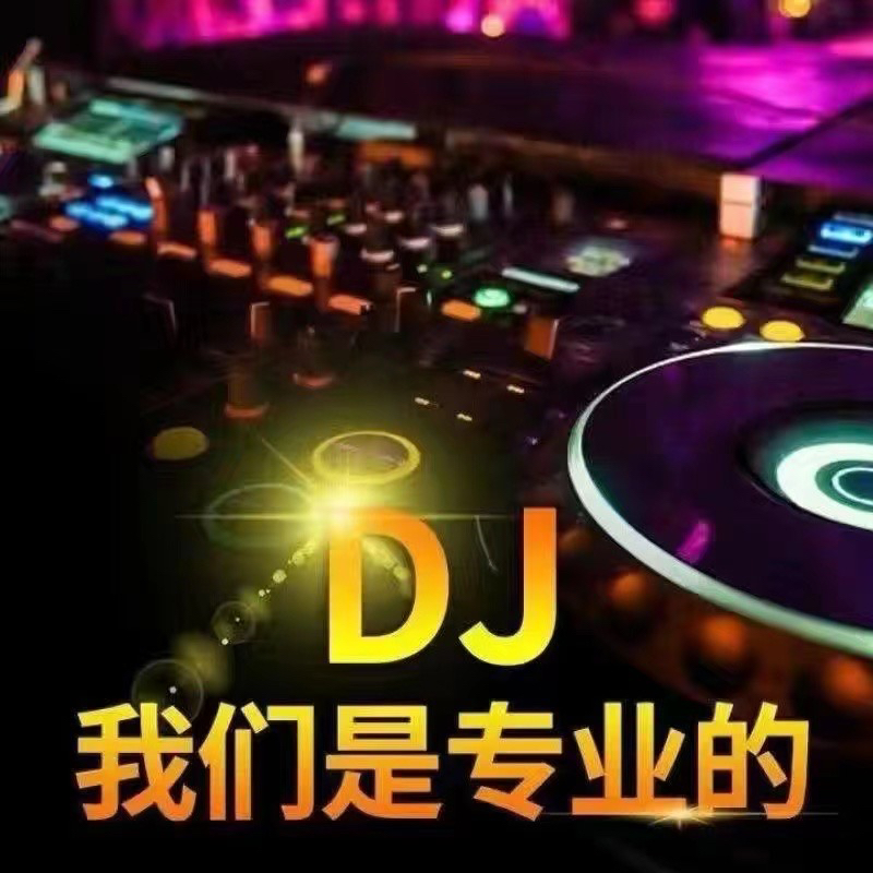 一半DJ 一半柔情 黑胶唱片教育音像