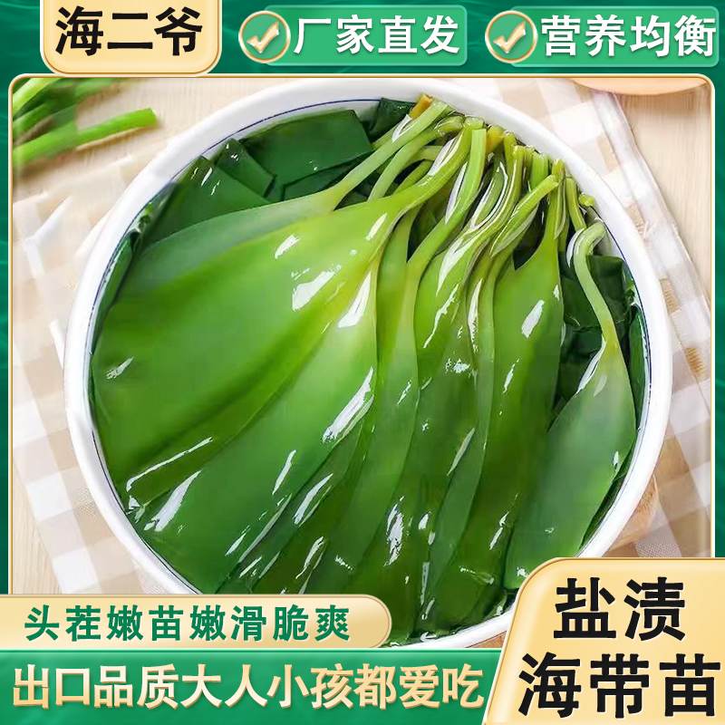 霞浦新鲜盐渍海带嫩苗小海带芽凉拌火锅煮汤营养海洋食材鲜嫩脆爽
