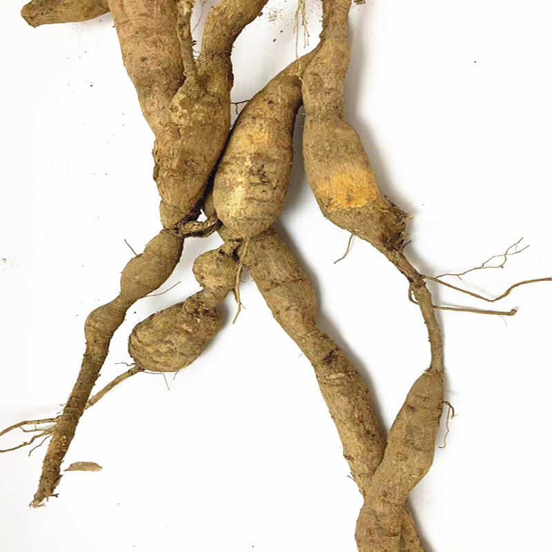 粤西深山土茯苓牛大力山货品质新鲜现挖煲汤泡酒